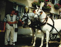 doc01130720200702161718_001-4